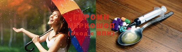 индика Лабытнанги