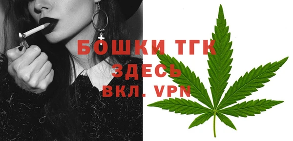 индика Лабытнанги