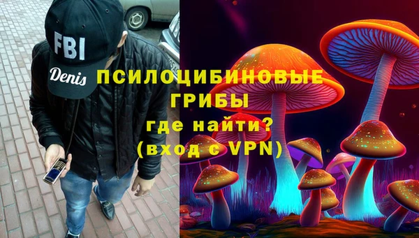 индика Лабытнанги