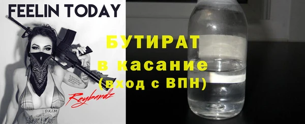 индика Лабытнанги