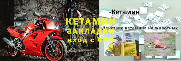 ПСИЛОЦИБИНОВЫЕ ГРИБЫ Ладушкин