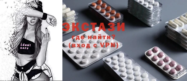 индика Лабытнанги
