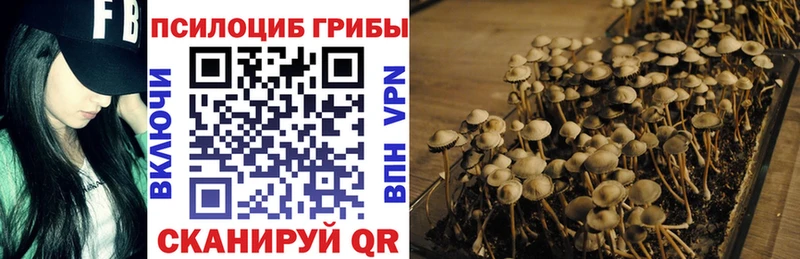 Купить закладки  Новошахтинск  Галлюциногенные грибы Psilocybe 
