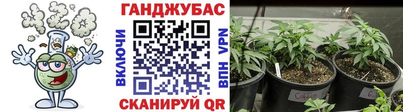 Купить  Новошахтинск  Конопля конопля 